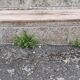 Old farm bench, natural color, vintage