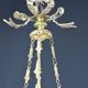Glass tube tassel suspension