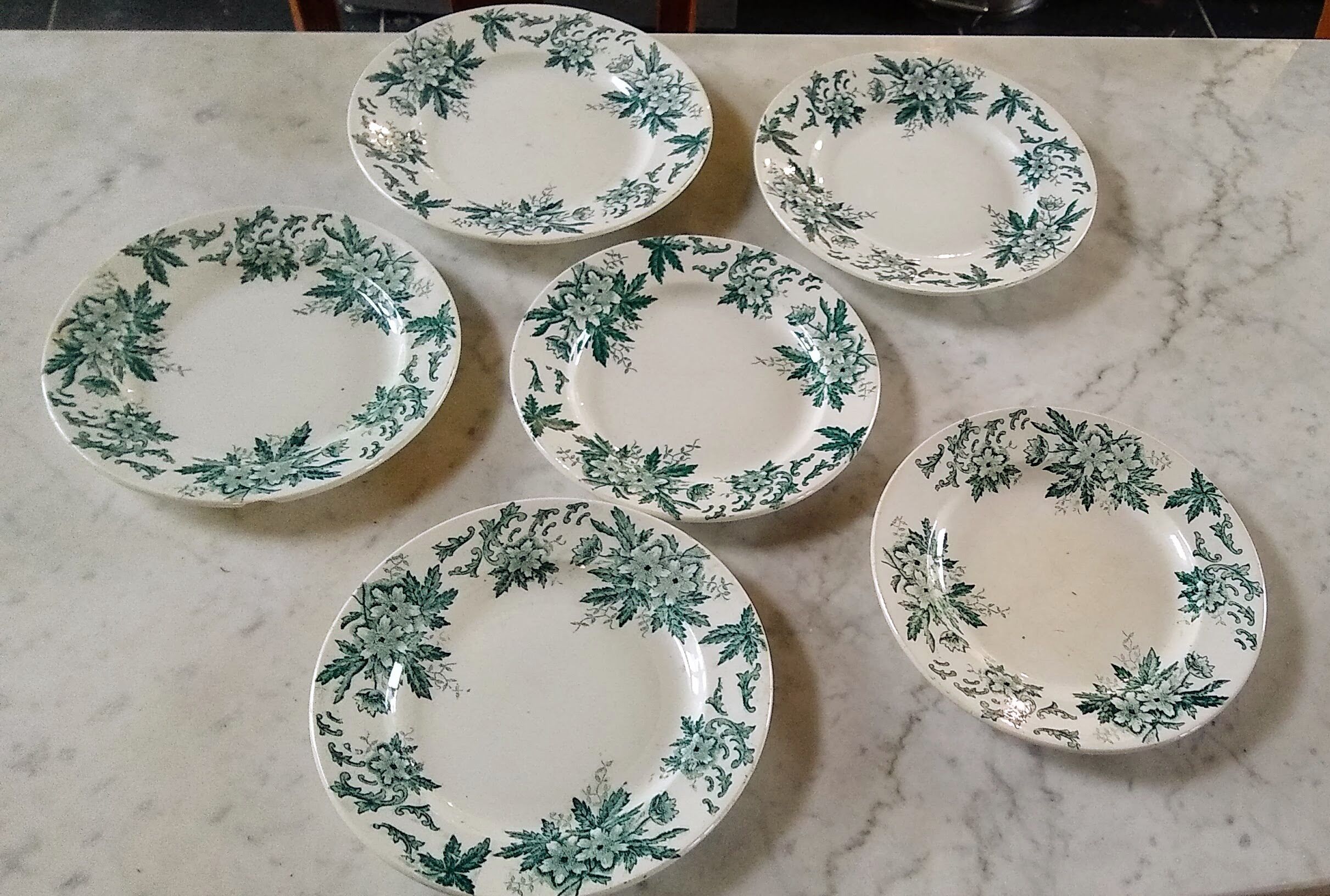 6 flat plates Anémone from St Amand in gray green color