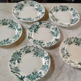 6 flat plates Anémone from St Amand in gray green color