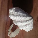 Giant clam shell