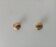Pair of vintage brass "lens" knobs/furniture handles