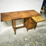 Desk minister for children