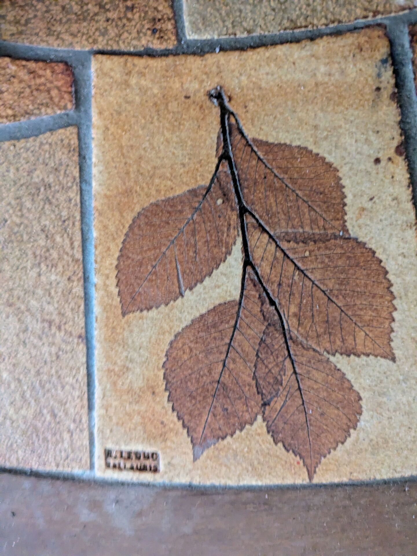 Coffee table by raymonde leduc vallauris