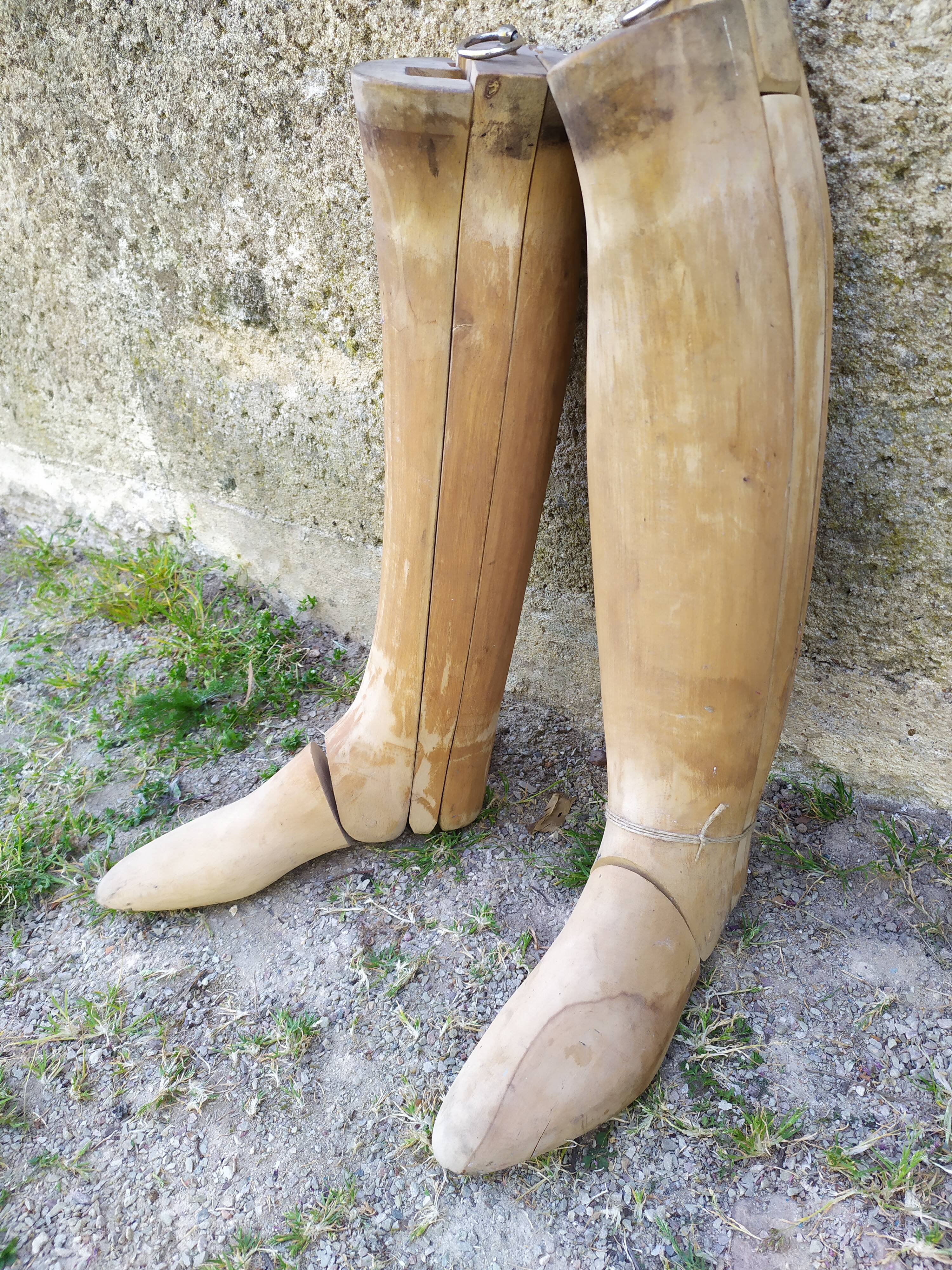 Boot shoe trees