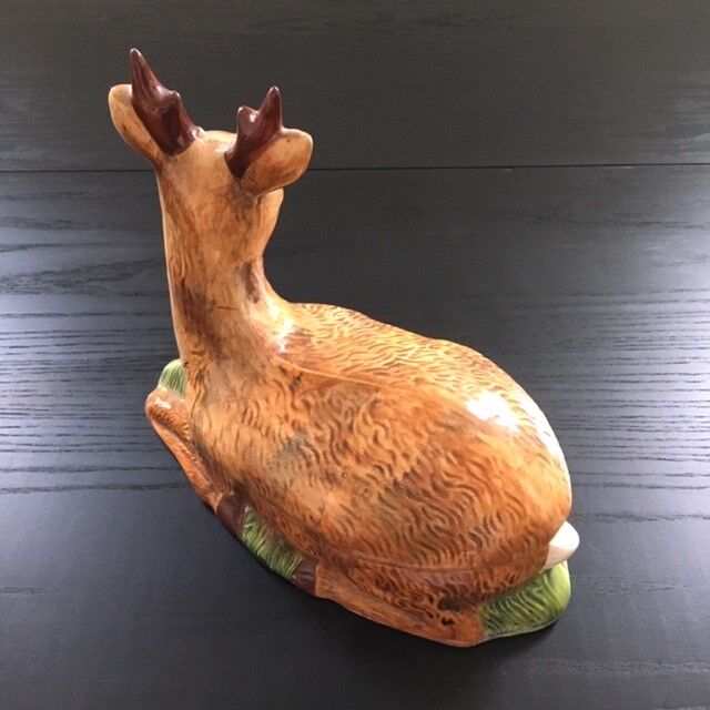 Empty pocket deer in dabbling