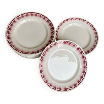 12 Céranord St.Amand dinner plates