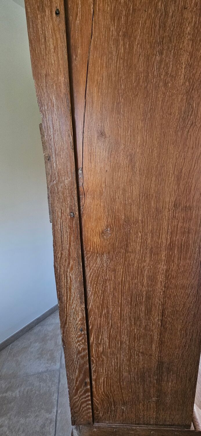 Showcase cabinet of curiosities sideboard oak