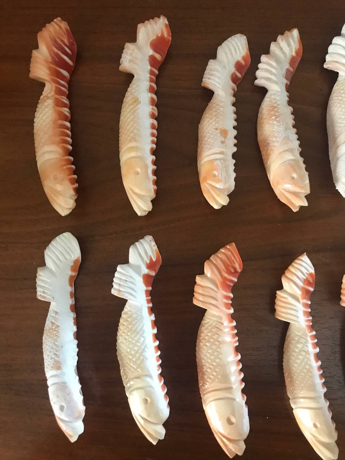 Series of 12 shell knife holders