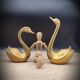Pair brass swans