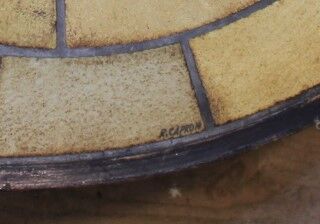 Roger Capron herbarium coffee table