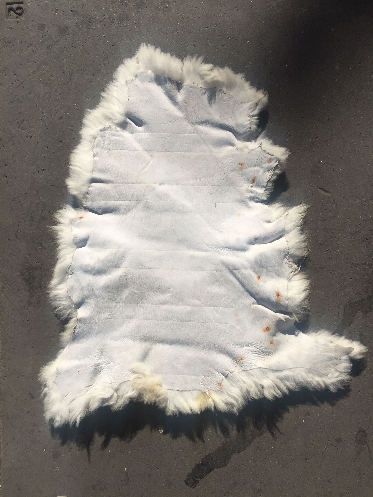 Scandinavian Sheepskin