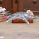 Baccarat crystal bowl / Trinket dish