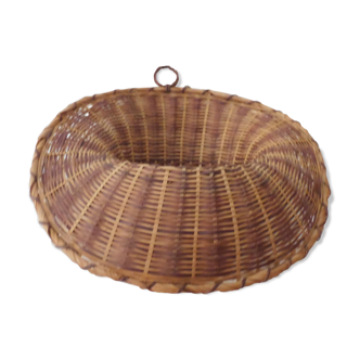 basket carries wicker plant