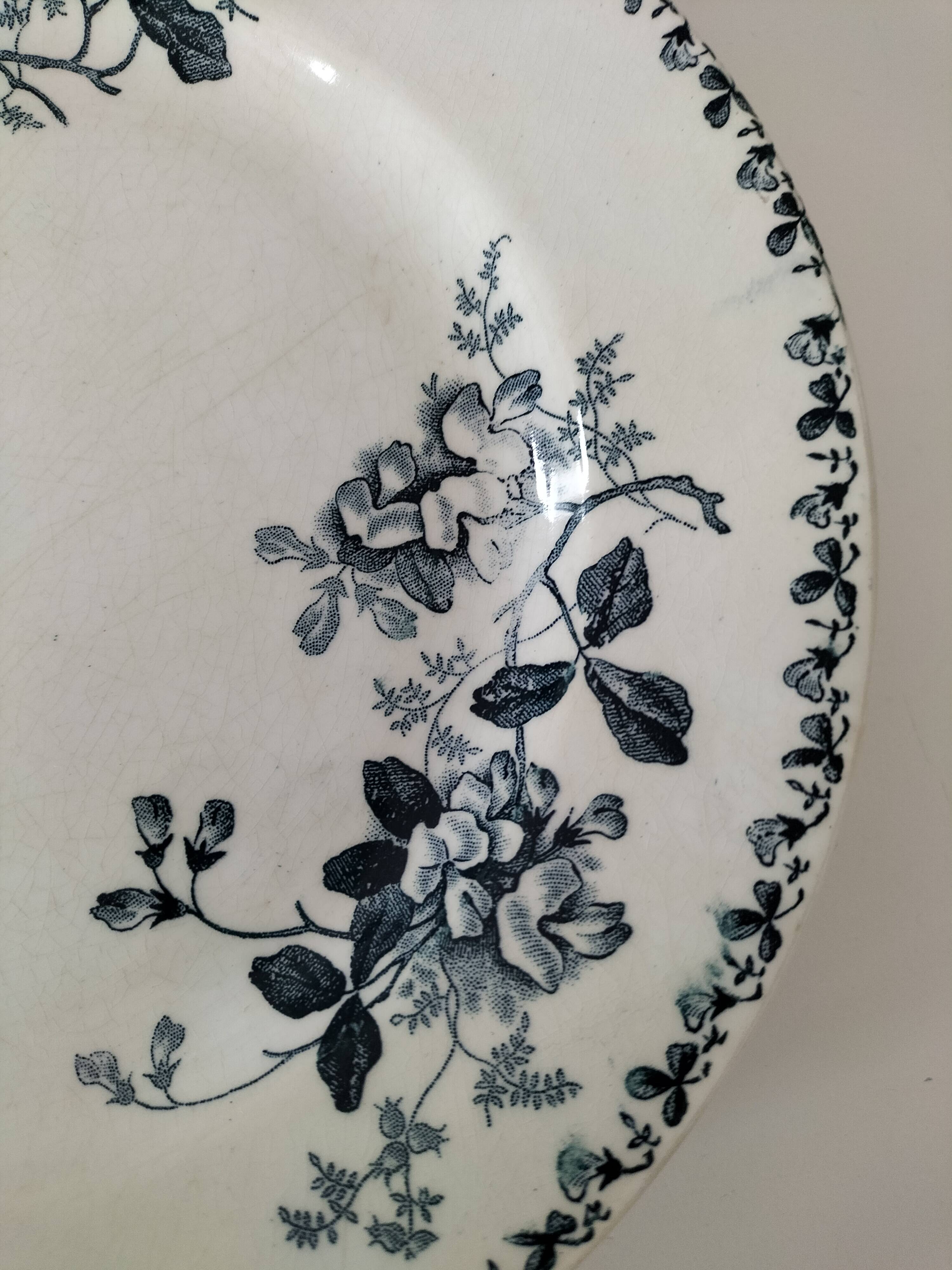 Set of 10 ironstone plates Moulin des Loups Acacia