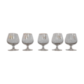 Set of 5 cognac glasses "napoleon"