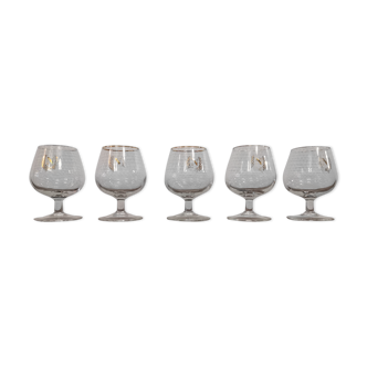 Set of 5 cognac glasses "napoleon"