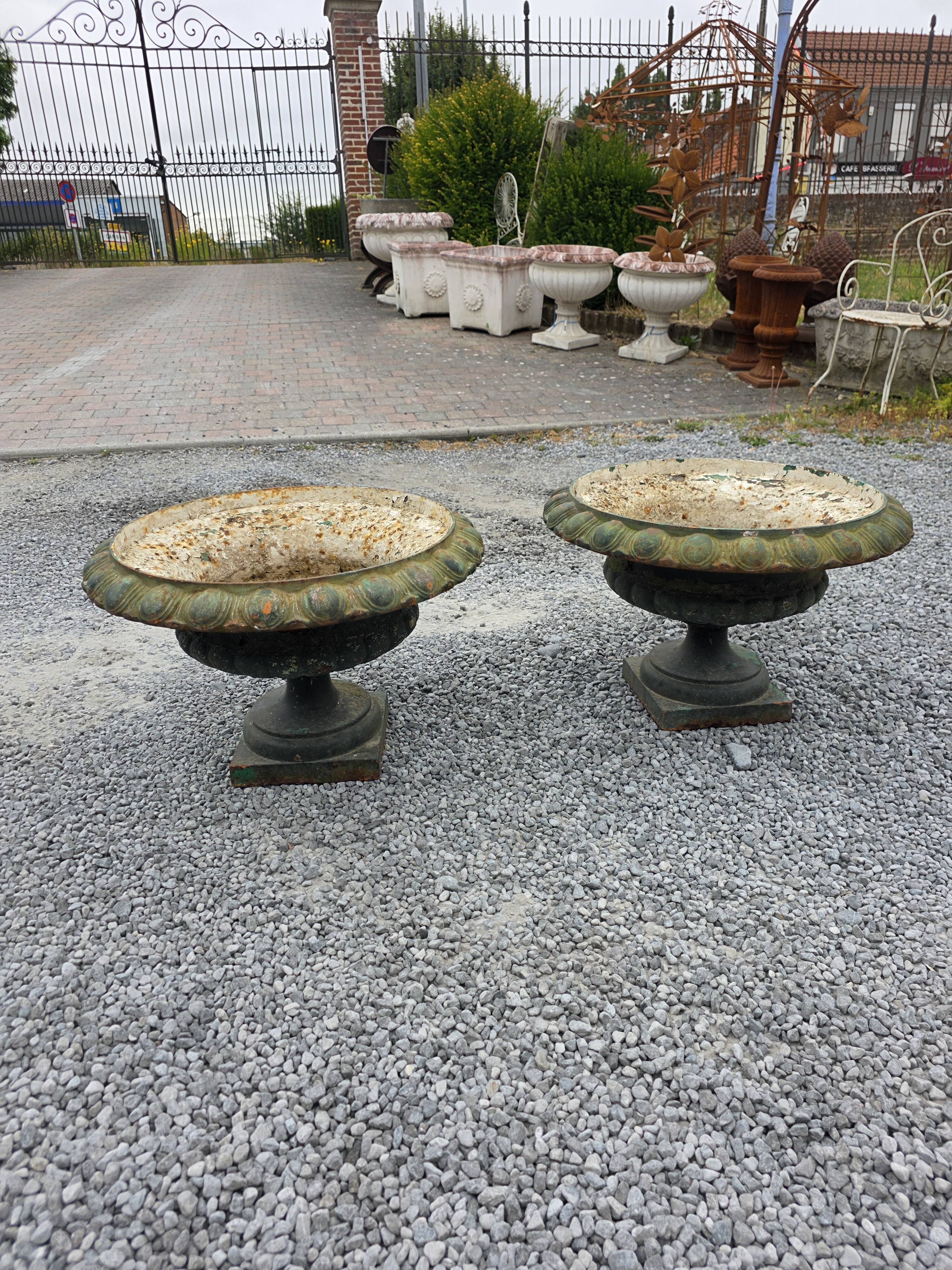 Pair of Medici vases in cast iron from the 19th century, 55cm wide.