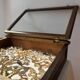 Vitrine / Collection de papillons anciens - 62 papillons