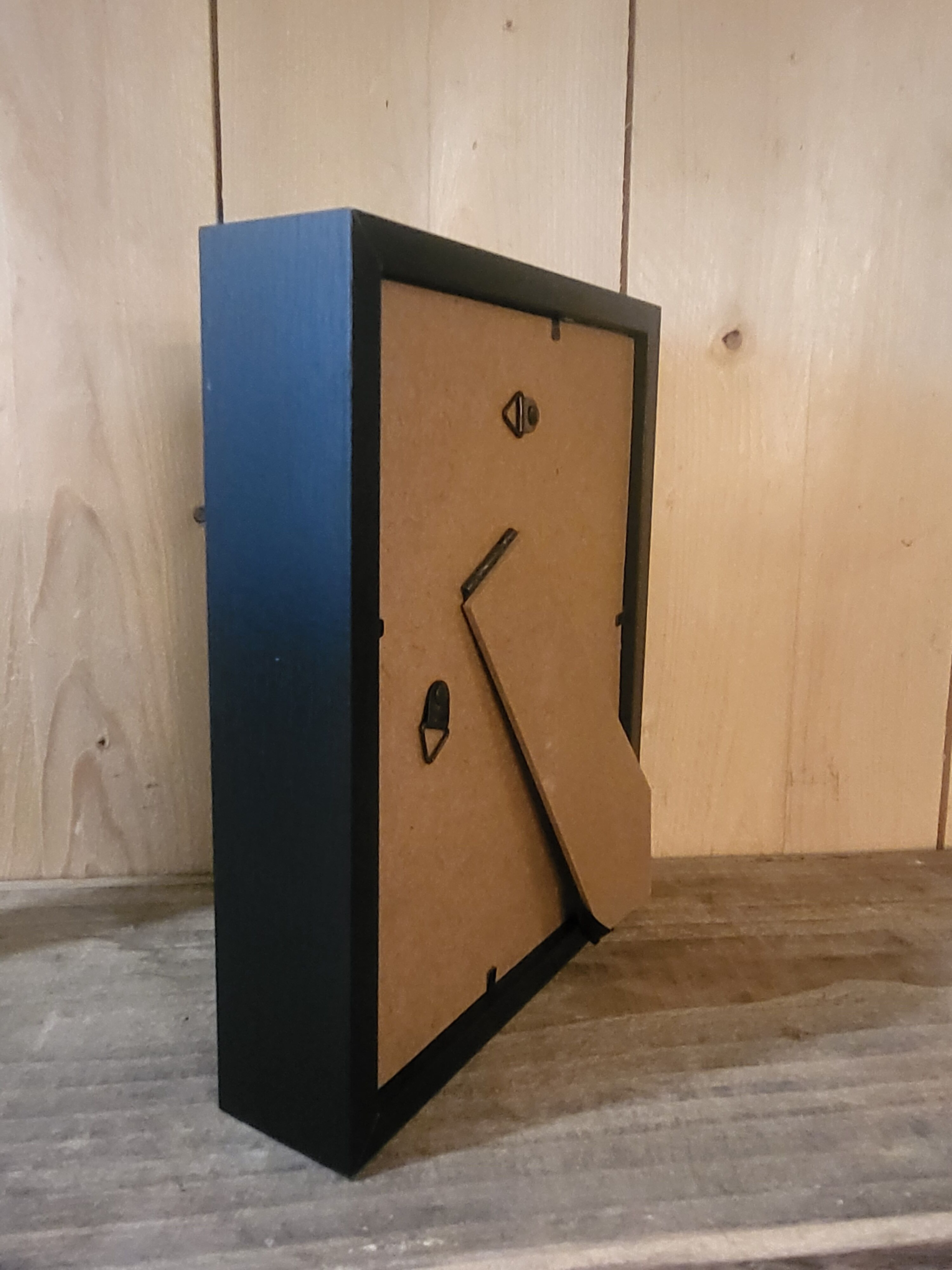 Goliathus entomology