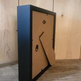 Goliathus entomology