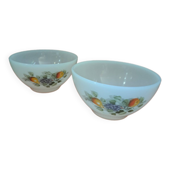 Arcopal bowls Fruits de France