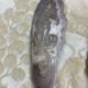Antique fish service