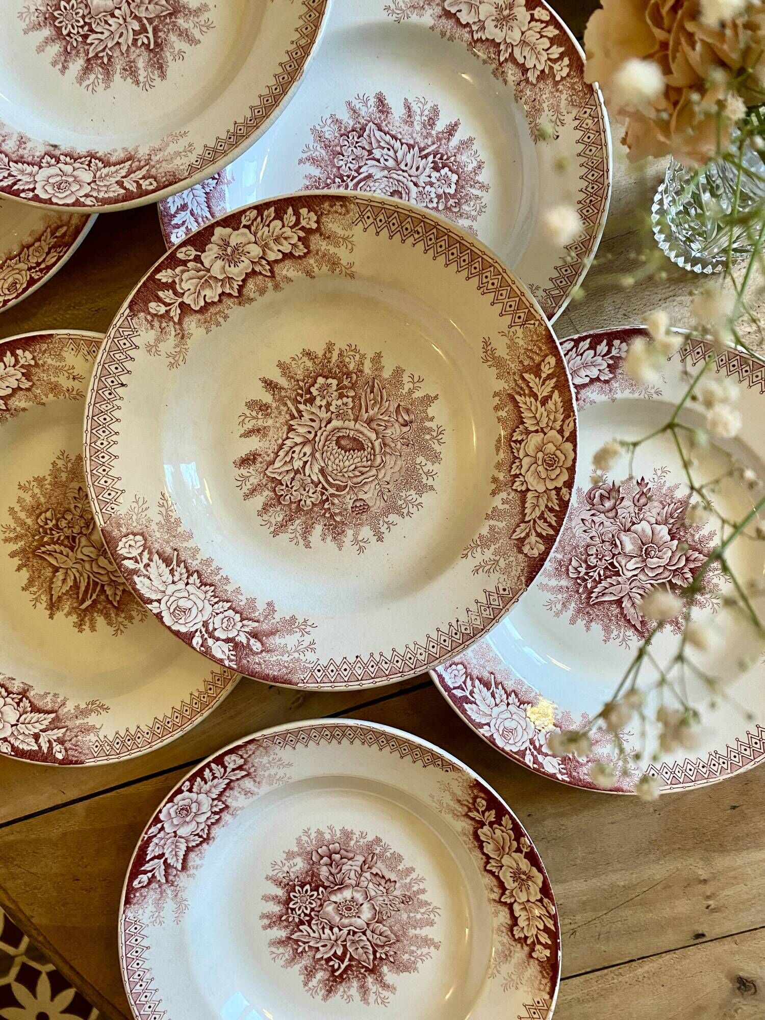 Set of 9 old ironstone hollow plates - Jardinière de Saint Amand