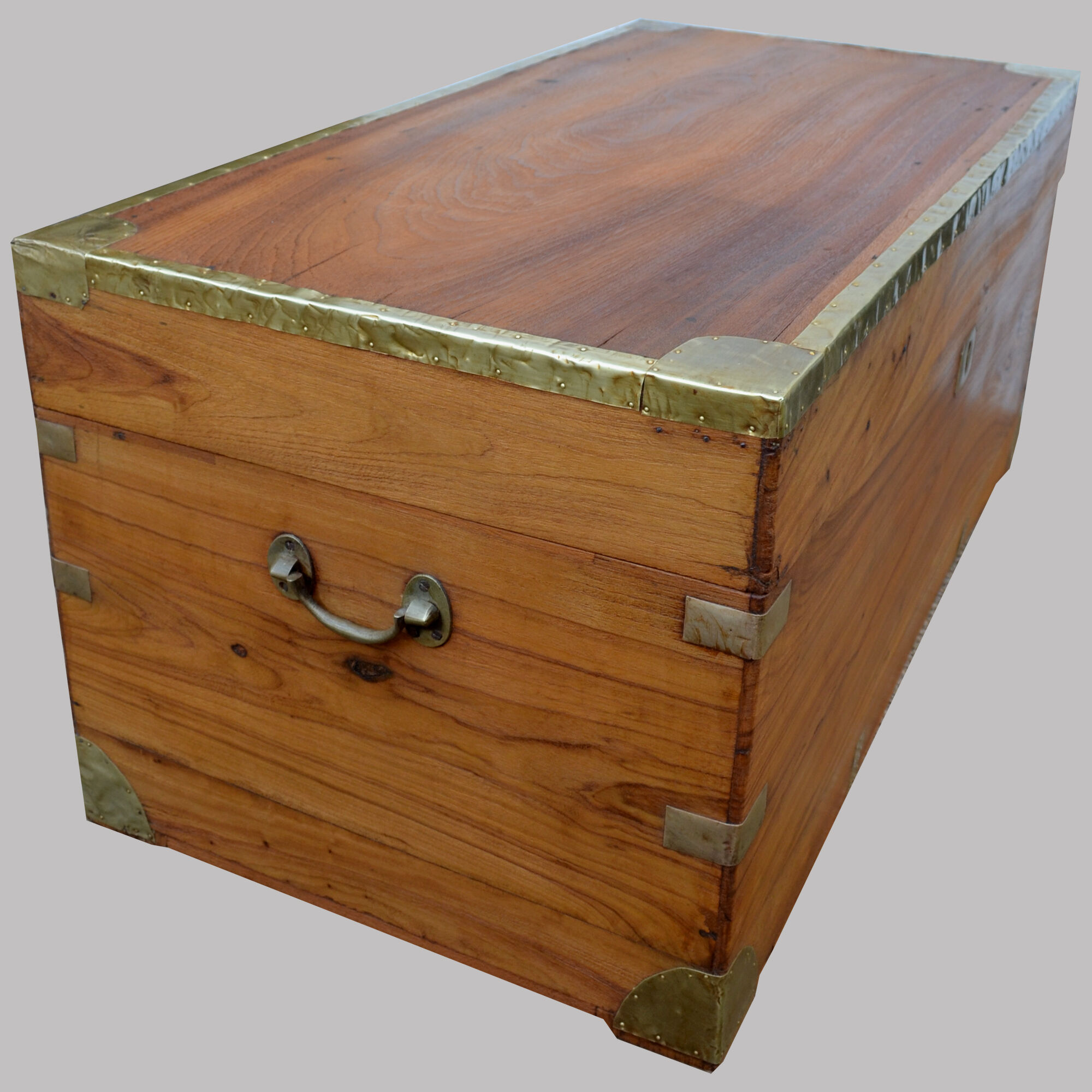 Chest in camphor tree
