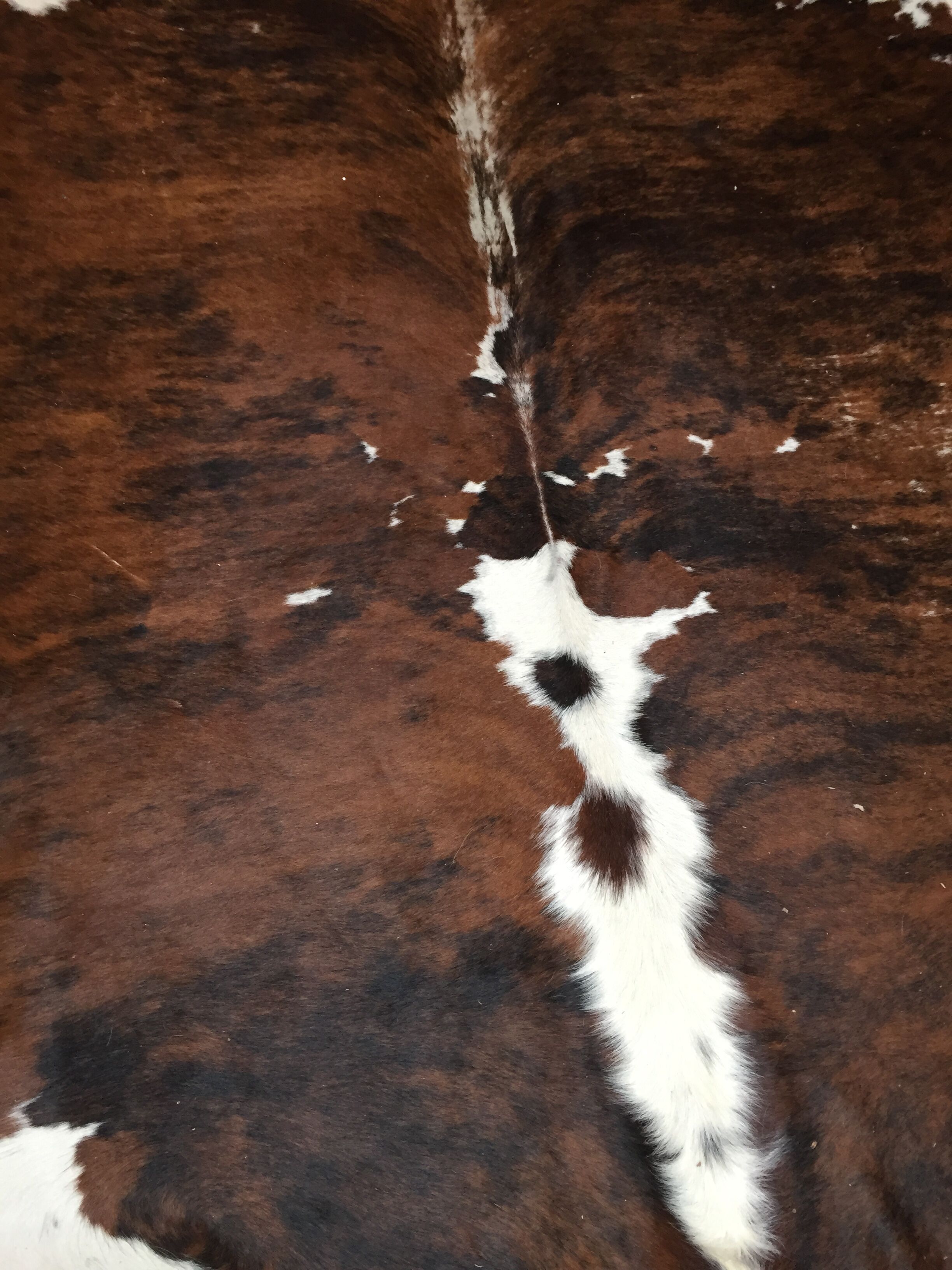 XxL vintage cow skin rug 1970
