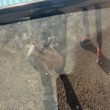 Tecno Modus Armchair