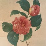 Table camellia mirror frame