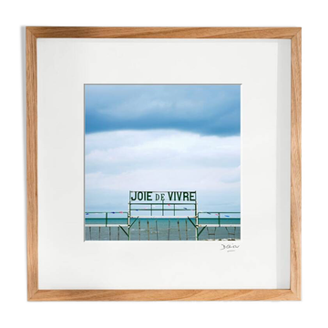 Joie de vivre