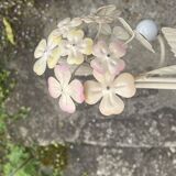 Hydrangea coat rack