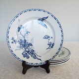 5 flat plates iron earth