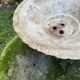 Vintage jardiniere vasque design 50 60