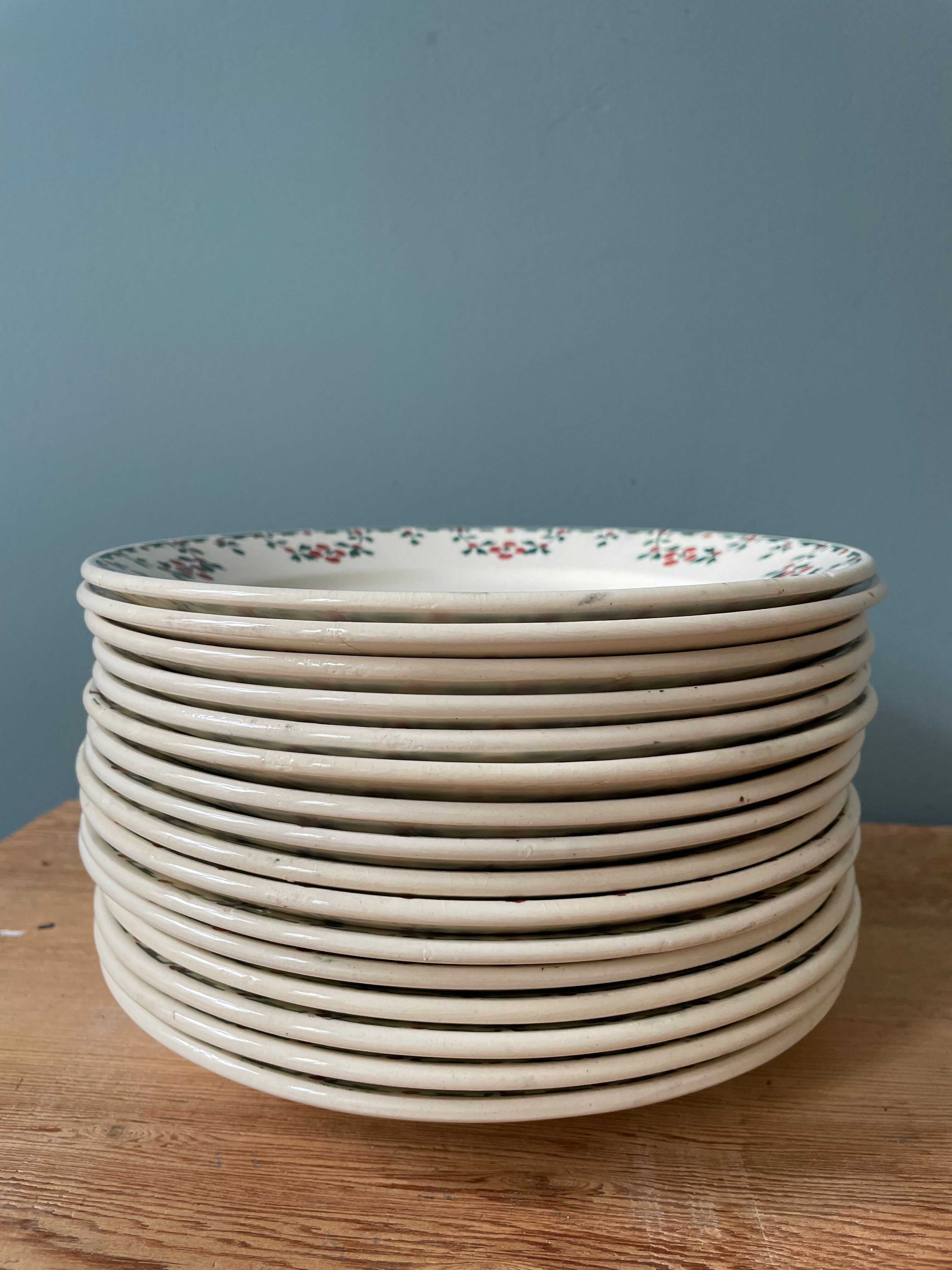 Set of 16 flat plates terre de fer choisy le roi numbered