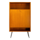 Mid Century Secreter or Bar Cabinet by Franz Meyer Möbel, Germany, 1960's