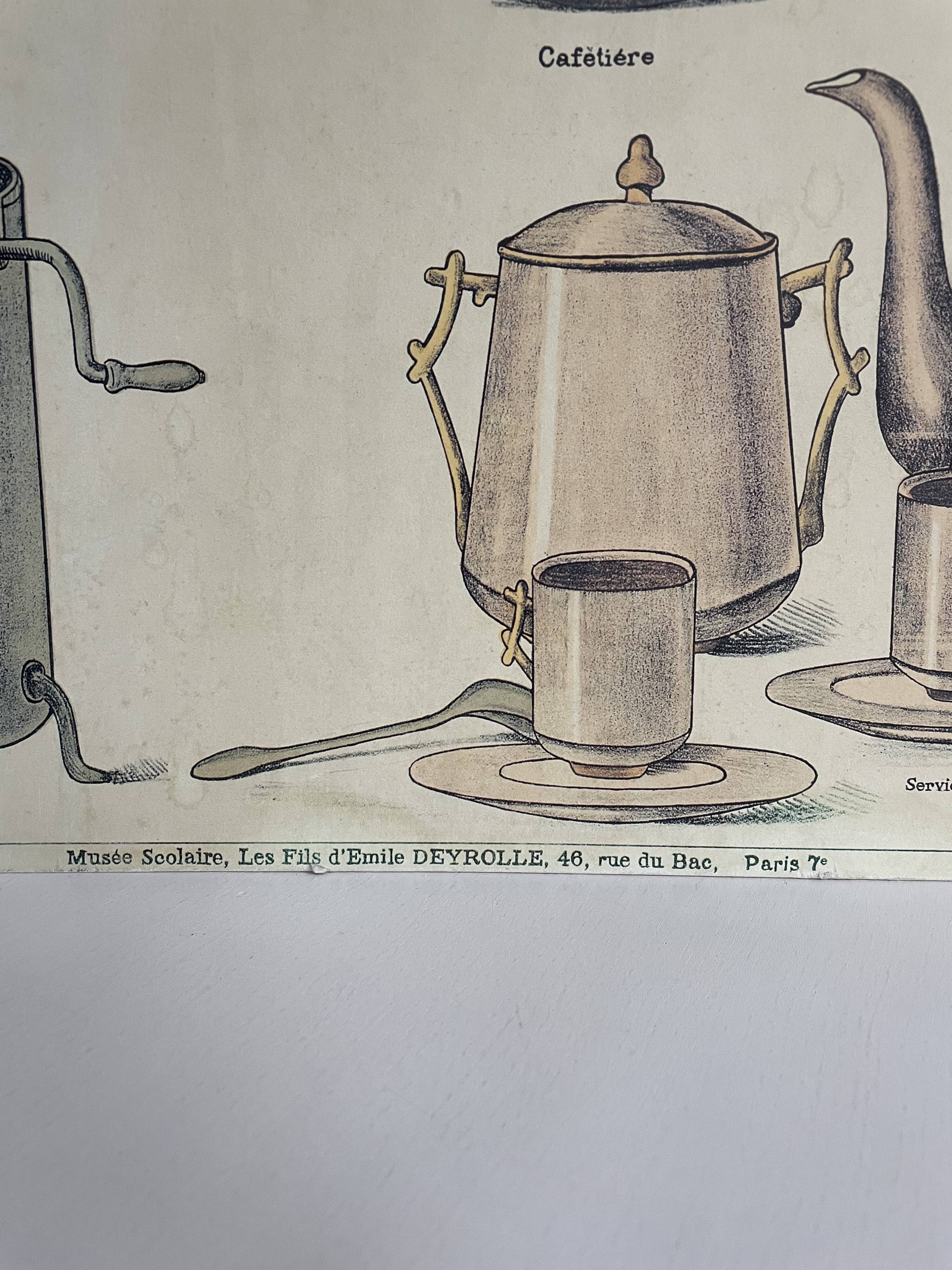 Le Café - Affiche pédagogique Deyrolle imprimée par Bernard Carant, Paris