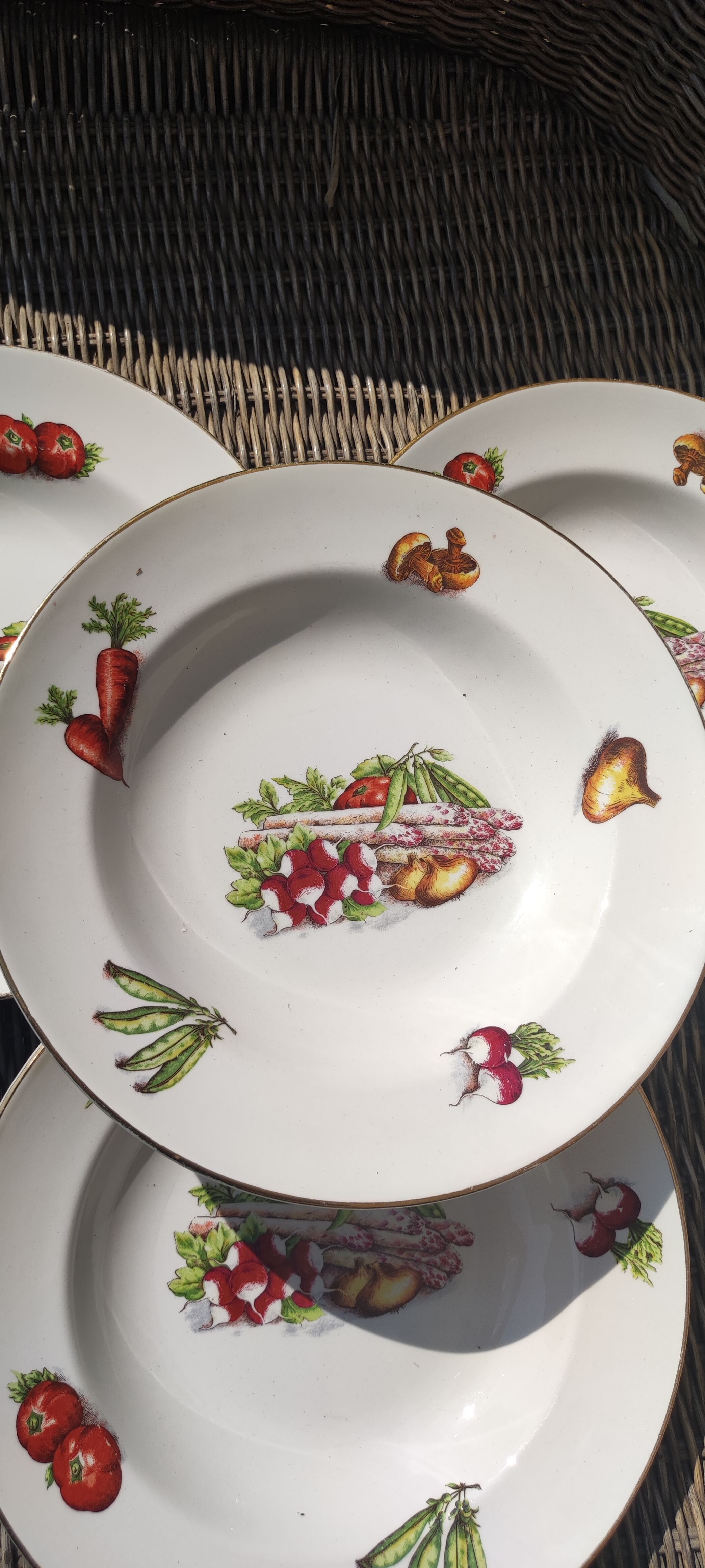 Dishes moulin des loups