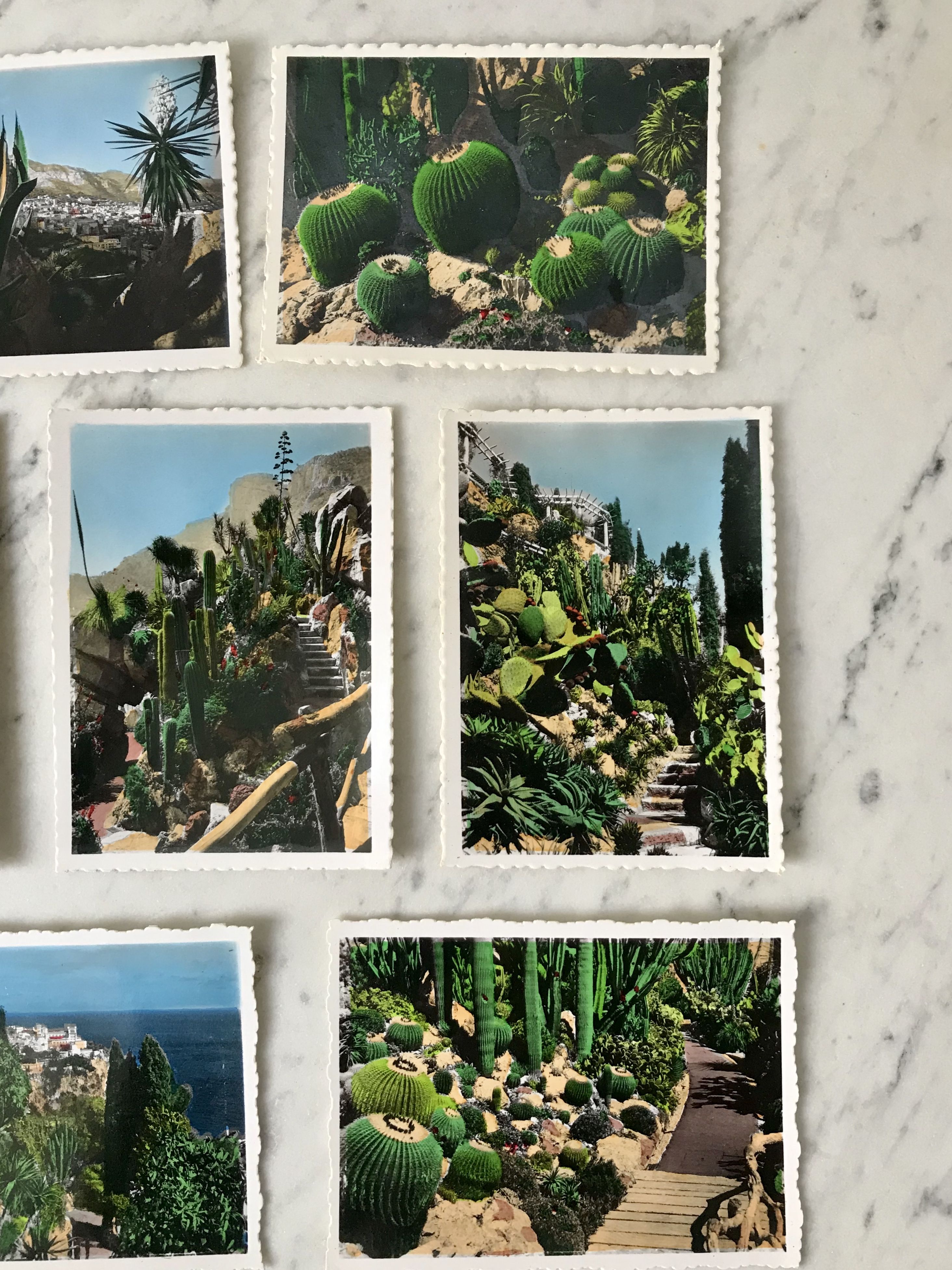 Set of 10 vintage photographs "Exotic Garden" Monaco 70s