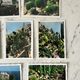 Set of 10 vintage photographs "Exotic Garden" Monaco 70s