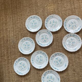 10 assiettes plates arcopal Myosotis