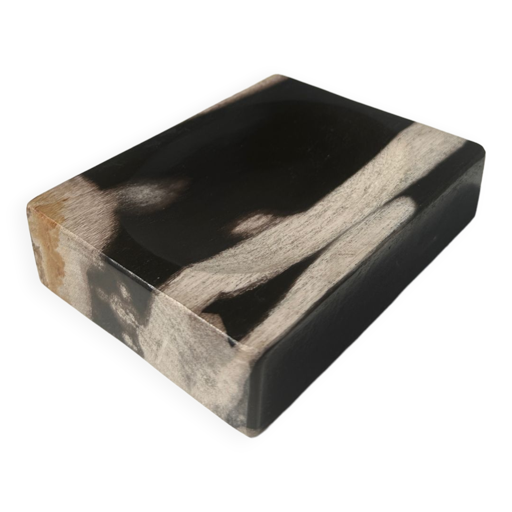 Symmetrical multicolored petrified wood soap dish