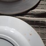 Ste Amandinoise Louis XV iron earth blue green dinner plates