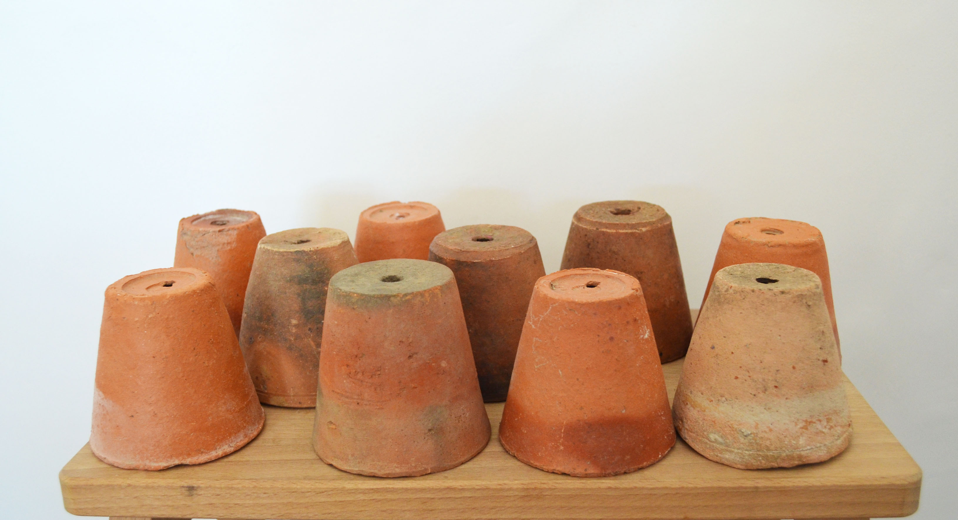 10 old seedling pots