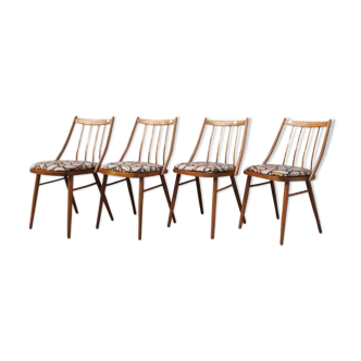 Series of 4 Suman chairs
