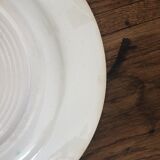 Series of plates Holly "Christmas"