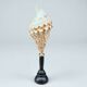 Cabinet of Curiosities: Triton Shell on a wooden base, late 19th century