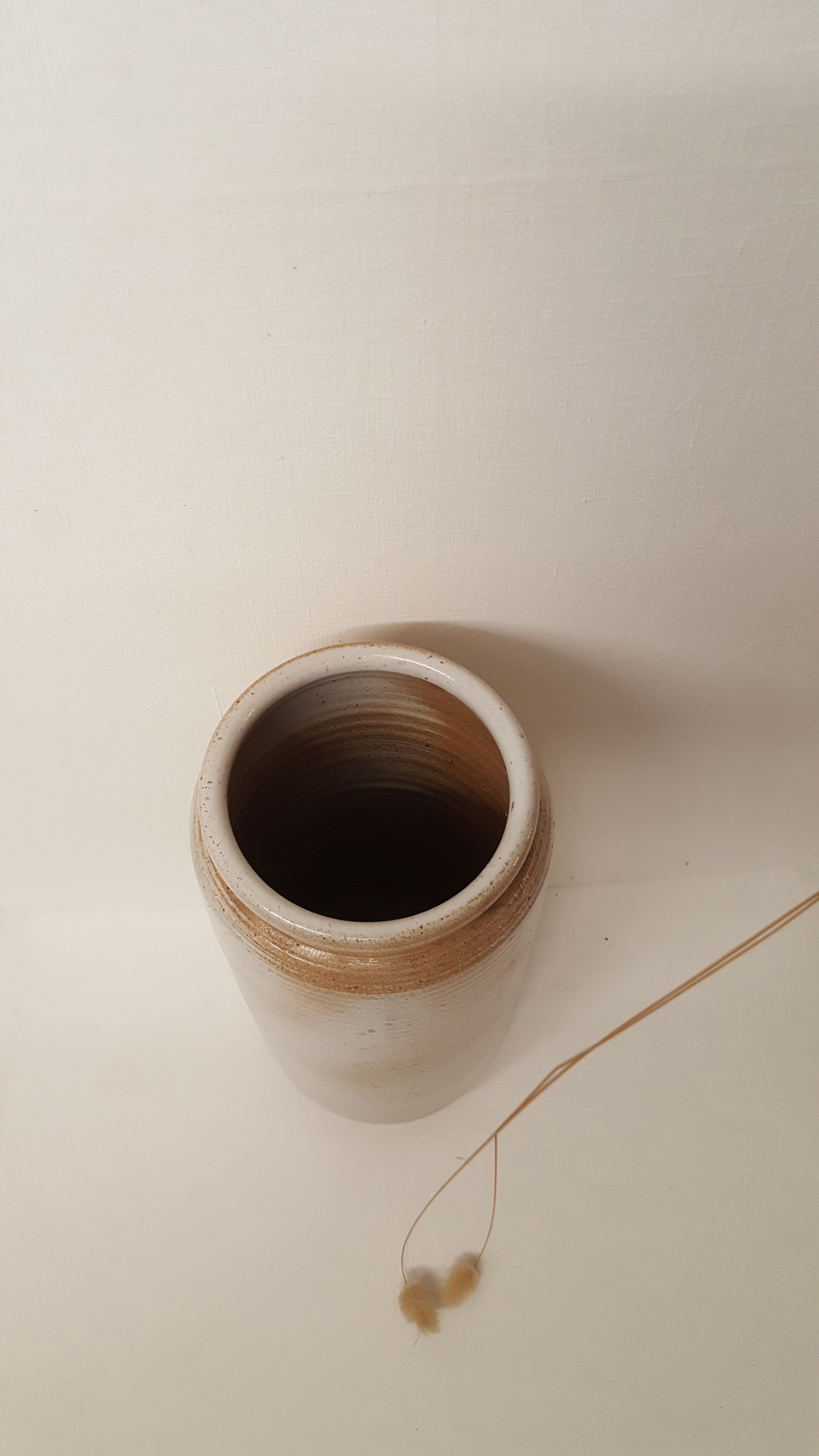 Sandstone from the marsh. shades of light beige and brown.